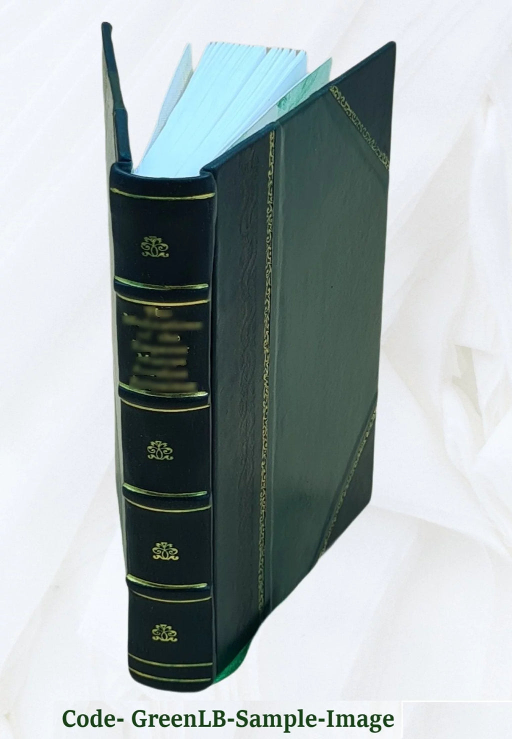 Leather Bound Volume v. 2 1796 M390667